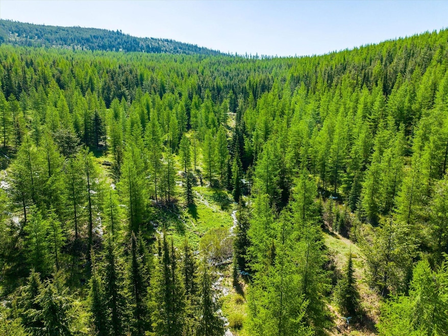 0 Griffin Creek Rd, Marion, MT 59925 - photo 1