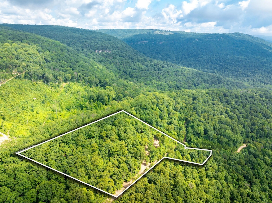 8-web-or-mls-DJI_20250711080817_0782_D-8