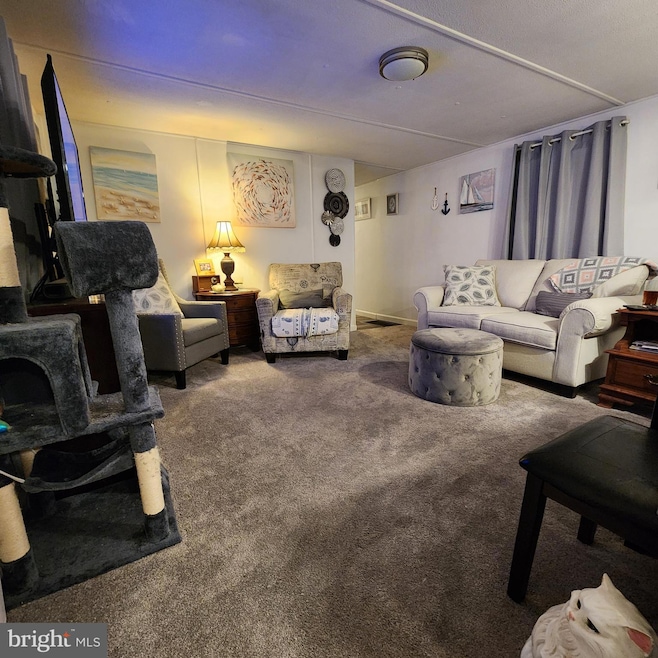 30 Mount Pleasant Trailer Ct unit A030, Middletown, DE 19709 - photo 1