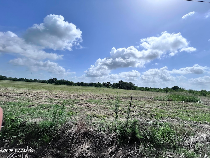 TBD Sonnier Rd unit 3-D, Church Point, LA 70525 - photo 1