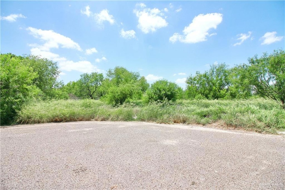 6909 Kathy Ln, Donna, TX 78537 - photo 1