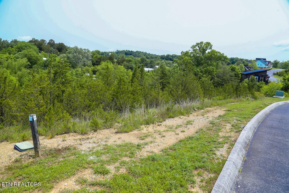 0 Blue Herring Way unit RTC3052483, Sevierville, TN 37876 - photo 1
