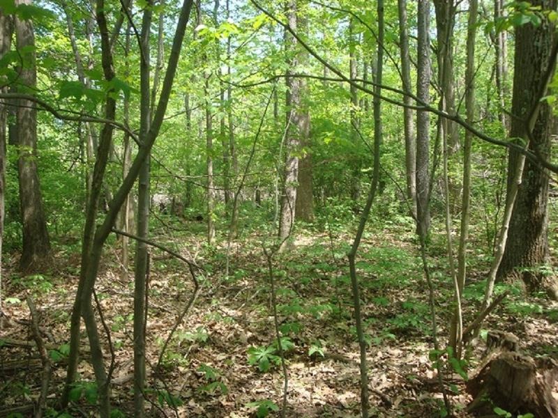 470 Ben Franklin Rd S, Indiana, PA 15701 - photo 1