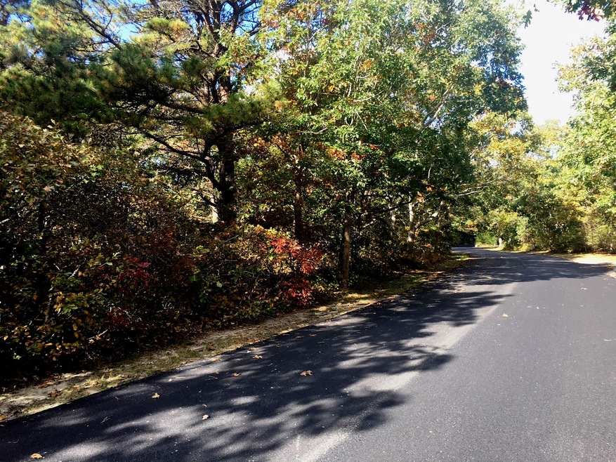 76 Schoolhouse Rd, Edgartown, MA 02539 - photo 1