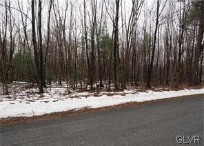 0 Rabbit Run Rd unit 570181, Andreas, PA 18211 - photo 1