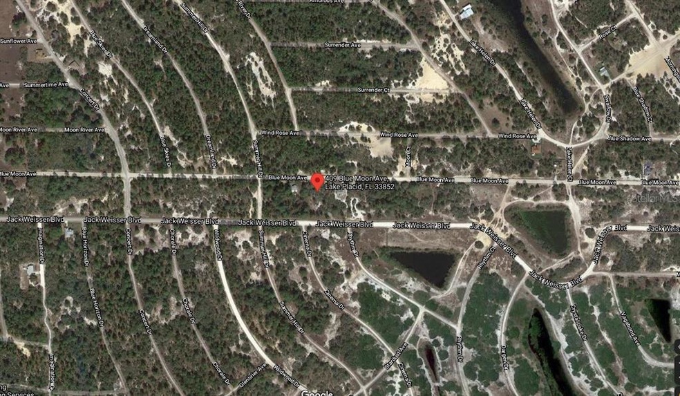 409 Blue Moon Ave, Lake Placid, FL 33852 - photo 1