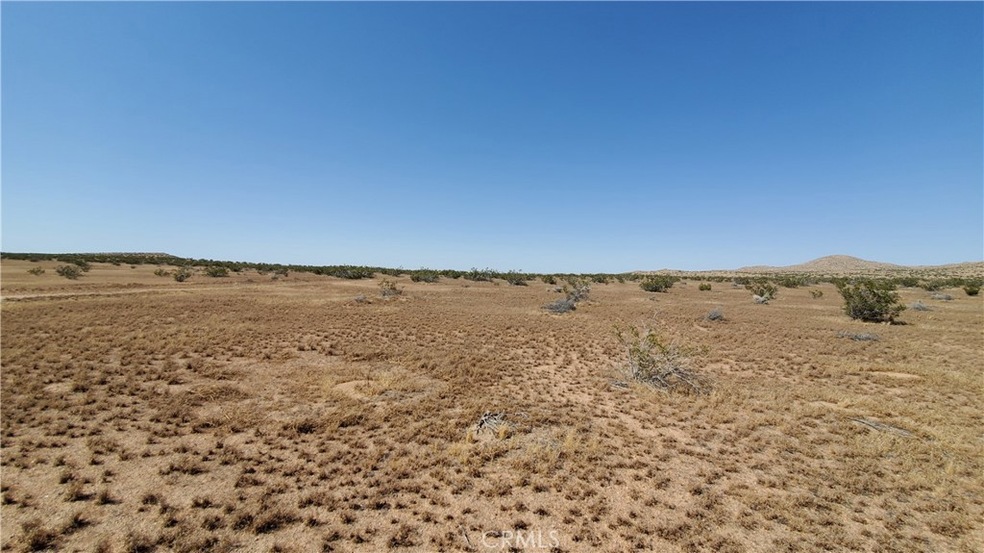 0 Vicinity Ave E-4 & 245th St St E unit SR24096571, Hi Vista, CA 93535 - photo 1