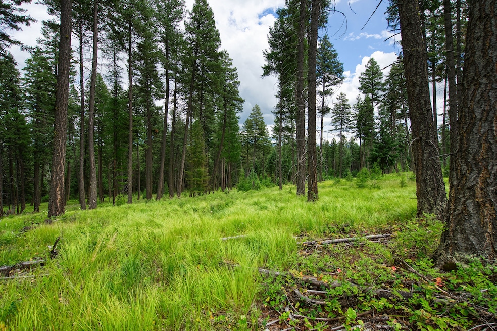 185 Rosewood Ln unit Lot 14, Whitefish, MT 59937 - photo 1