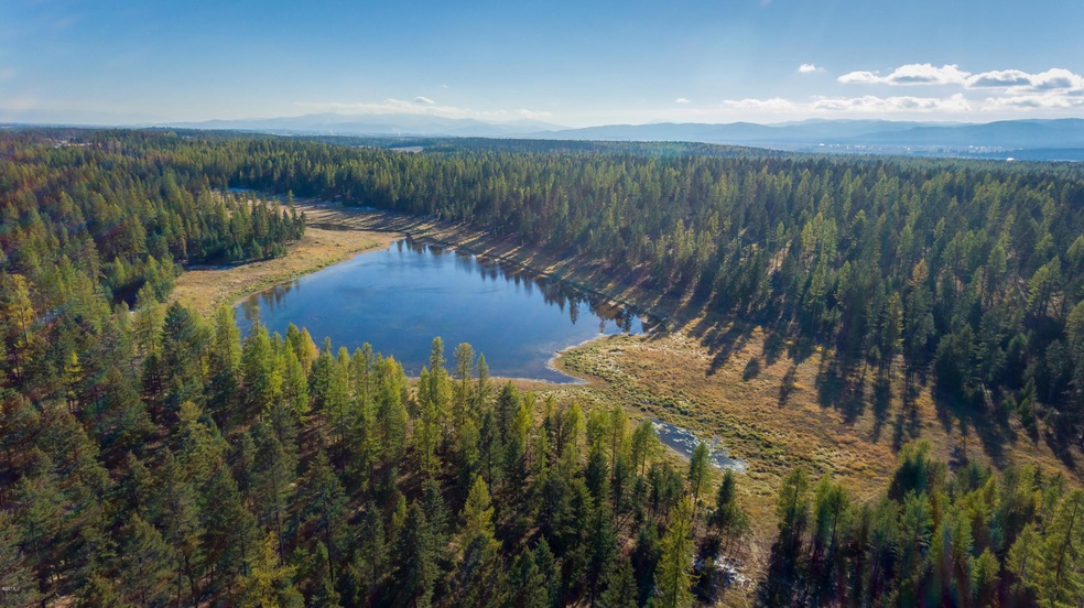 South Aerial view of pond