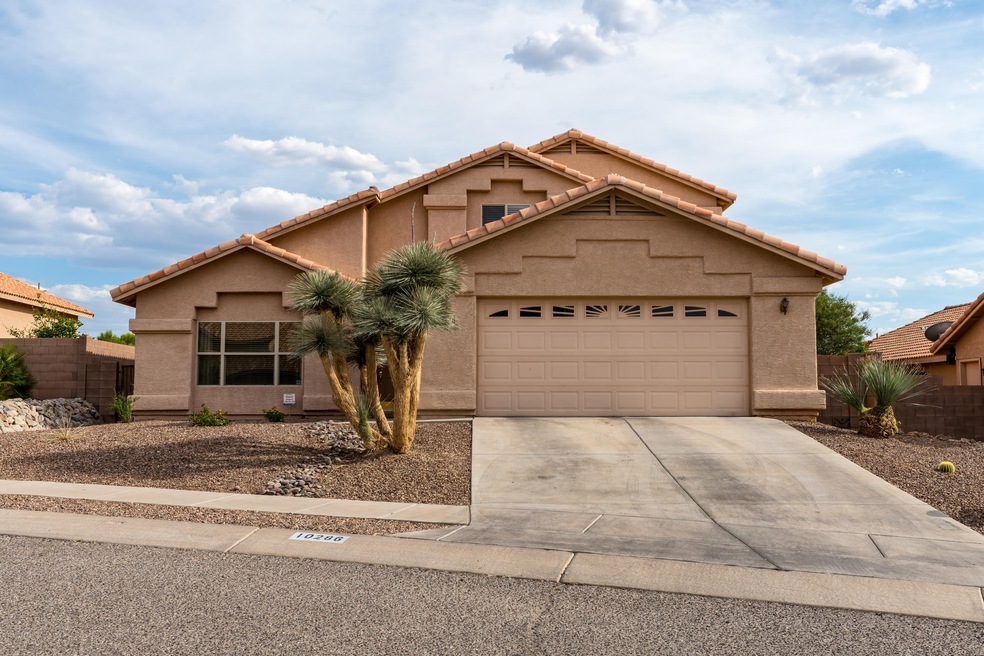 10286 BuffaloBerry
