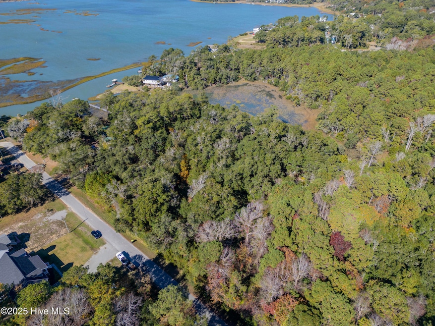 476 Crossland Rd SW, Bolivia, NC 28422 - photo 1