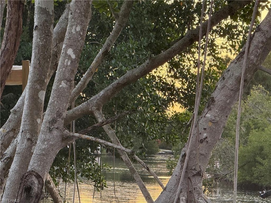 13407 Snook Cir, South Naples, FL 34114 - photo 1