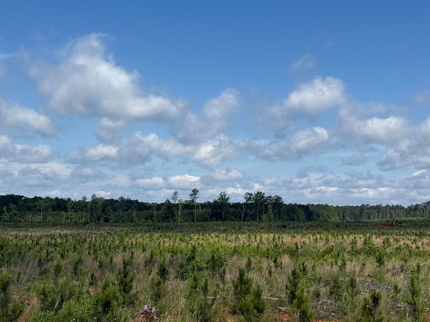 300 Hwy 378 W, Edgefield, SC 29824 - photo 1