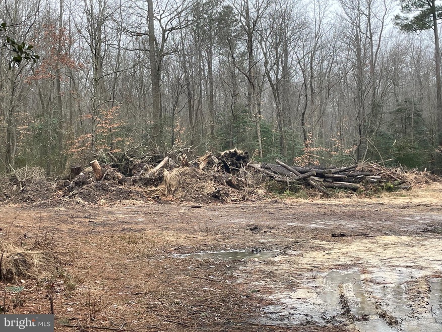 Lot 9B West Piney Gr Deer Pines, Georgetown, DE 19947 - photo 1