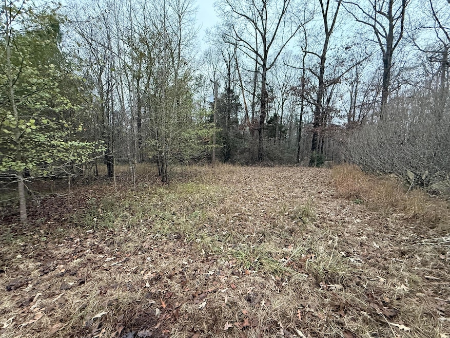 0 6th Ct NE, Vernon, AL 35592 - photo 1