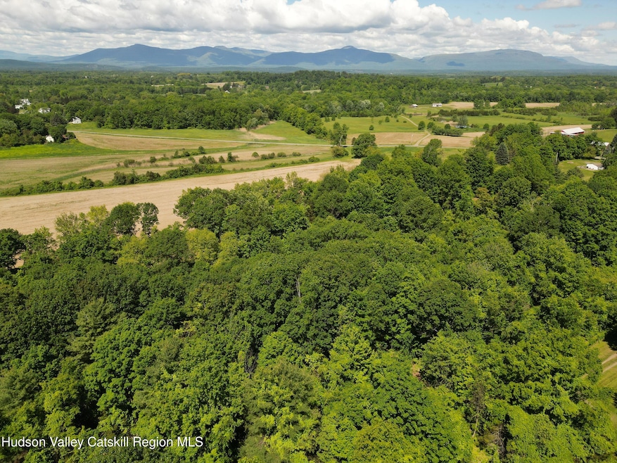 Lot 1 County Route 6, Clermont, NY 12526 - photo 1