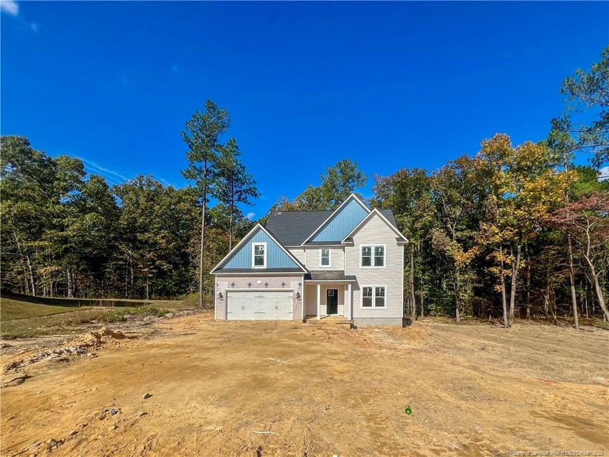 350 Flying Bolt Dr, Five Points, NC 28376 - photo 1