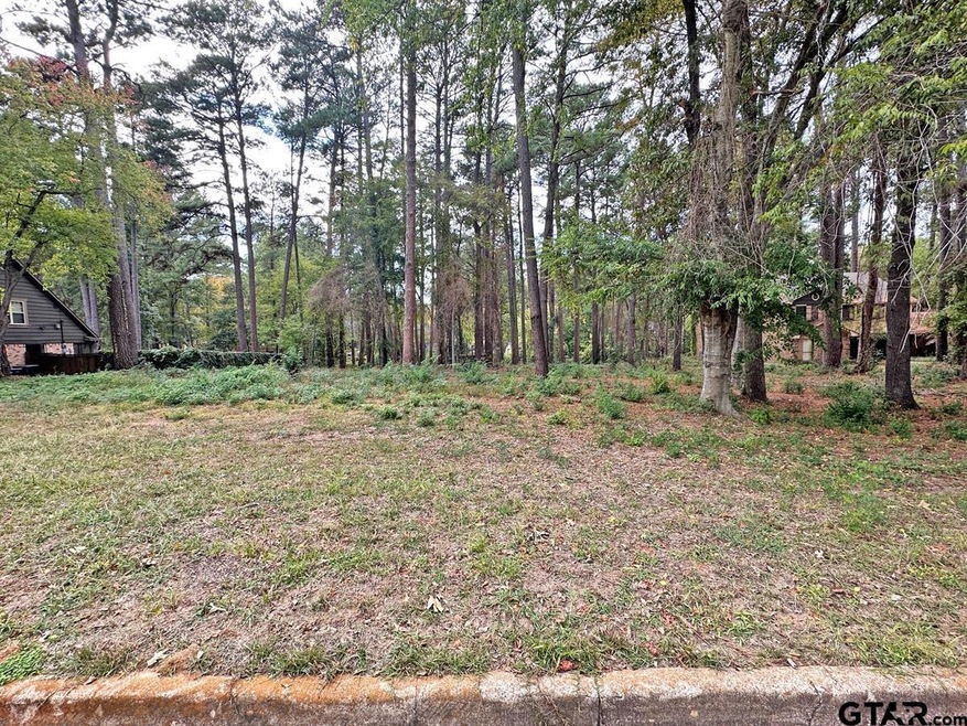 9075 Elm Tree Cir, Tyler, TX 75703 - photo 1