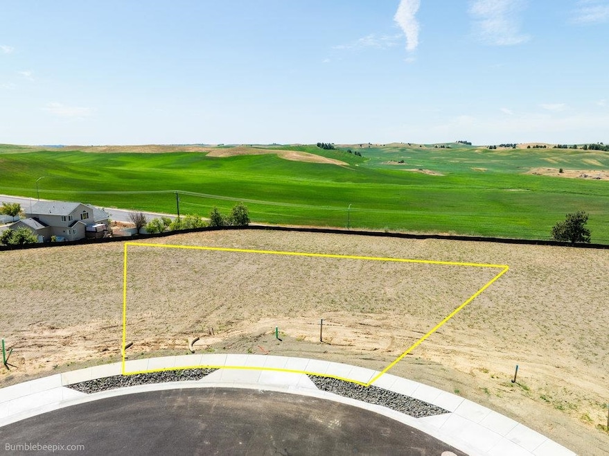 1114 Steptoe View Ln, Cheney, WA 99004 - photo 1