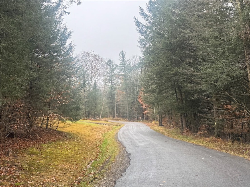 0 Thorpe Hill Rd, Masonville, NY 13838 - photo 1