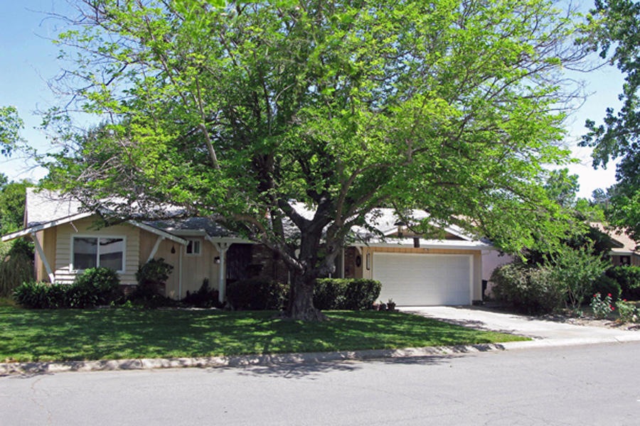 Curb Appeal