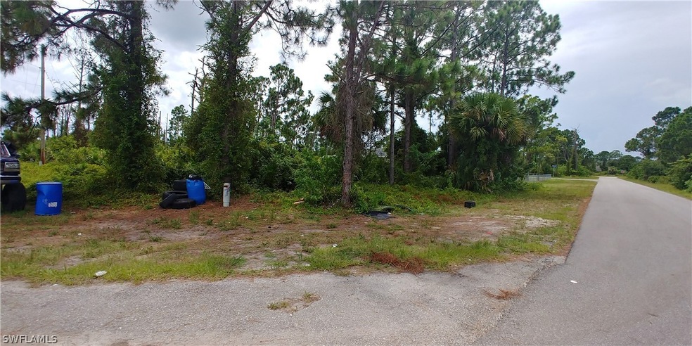 734 Roma Ave S, Lehigh Acres, FL 33974 - photo 1