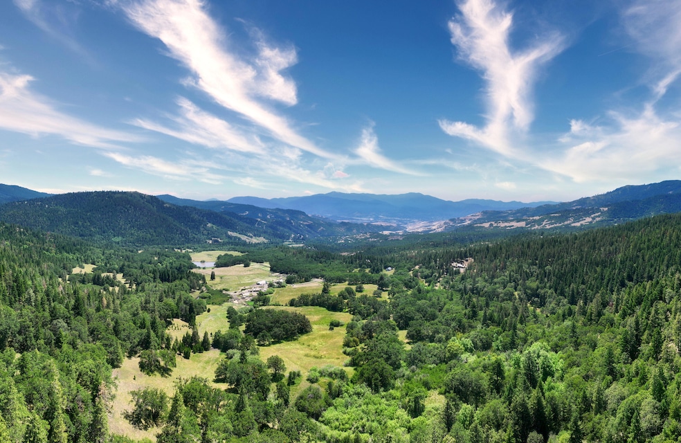 Firebird Farms_01
