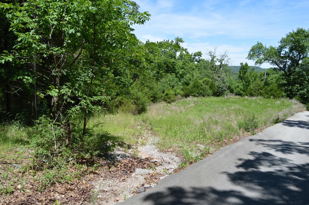 Tbd Cadillac Cove Rd, Ruth B Rural Township, MO 65686 - photo 1