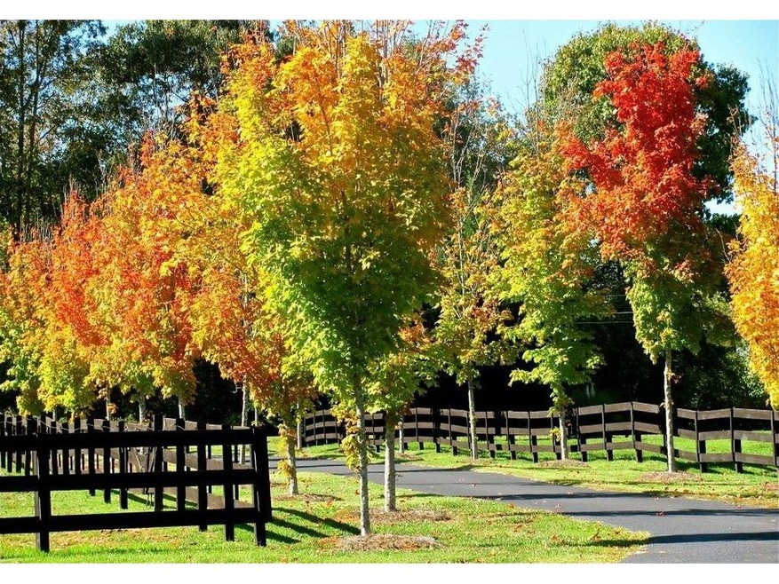 1650 B C Grant Rd, Alto, GA 30510 - photo 1