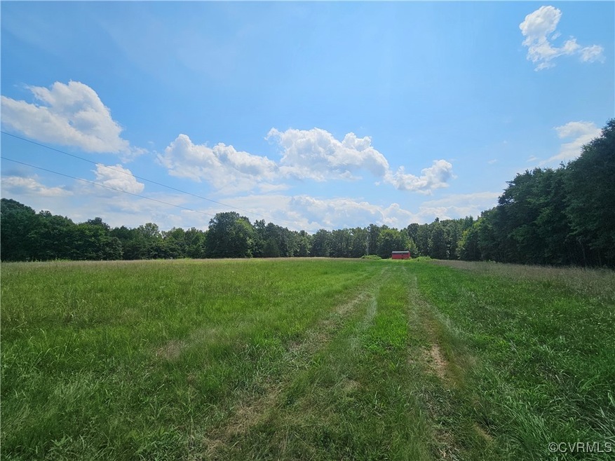 View of local wilderness featuring a rural view