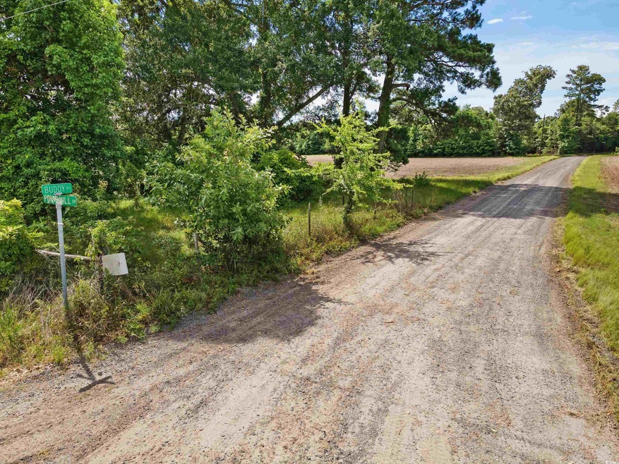 TBD Buddy Rd, Hemingway, SC 29554 - photo 1