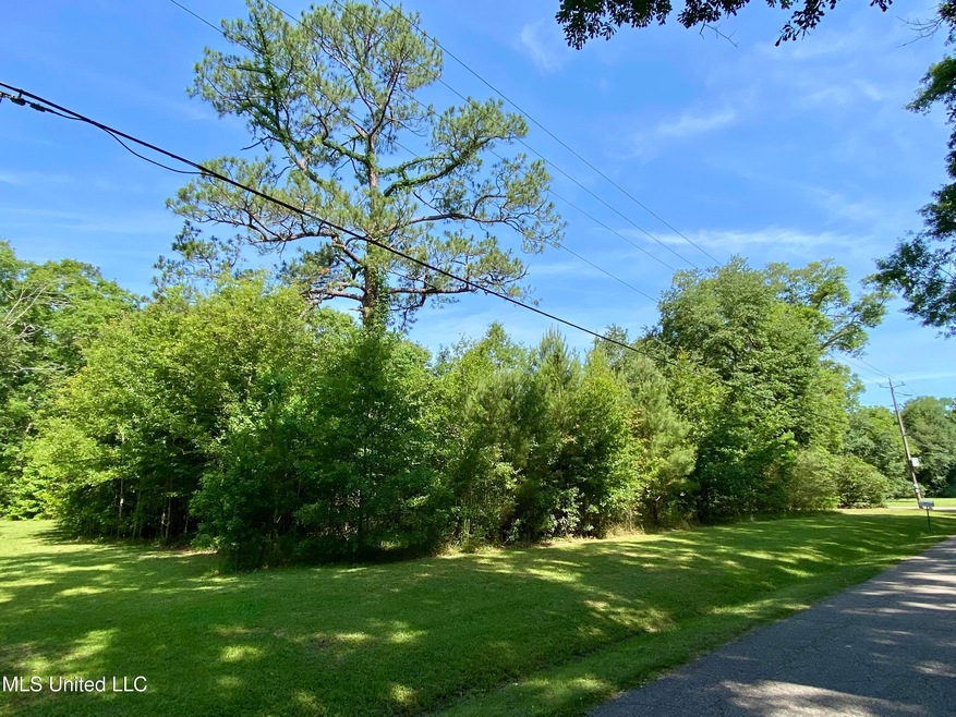 1396 Neal Rd, Picayune, MS 39466 - photo 1