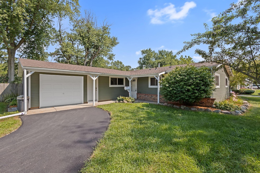 1-web-or-mls-IMG_2107