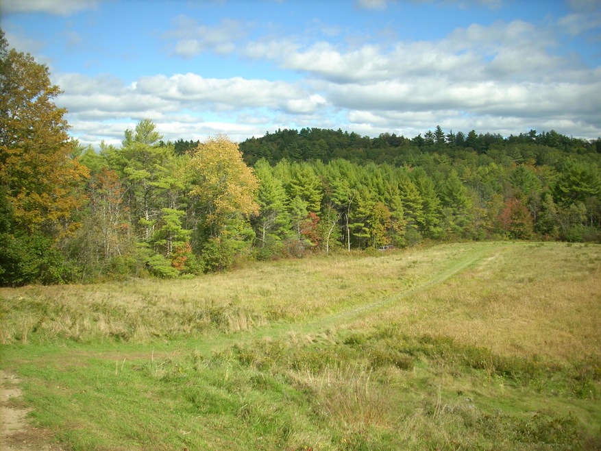 DSCN1678