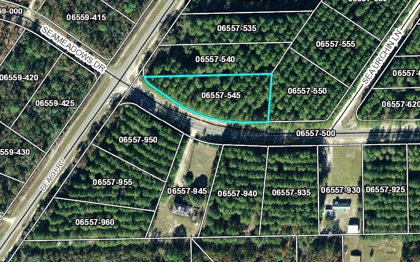 LOT 9 Seameadows Dr, Perry, FL 32348 - photo 1