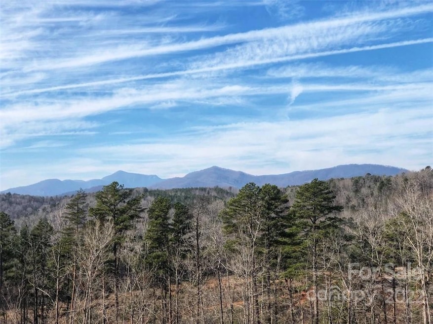 0 Hardin Store Rd unit 3694748, Rutherfordton, NC 28139 - photo 1