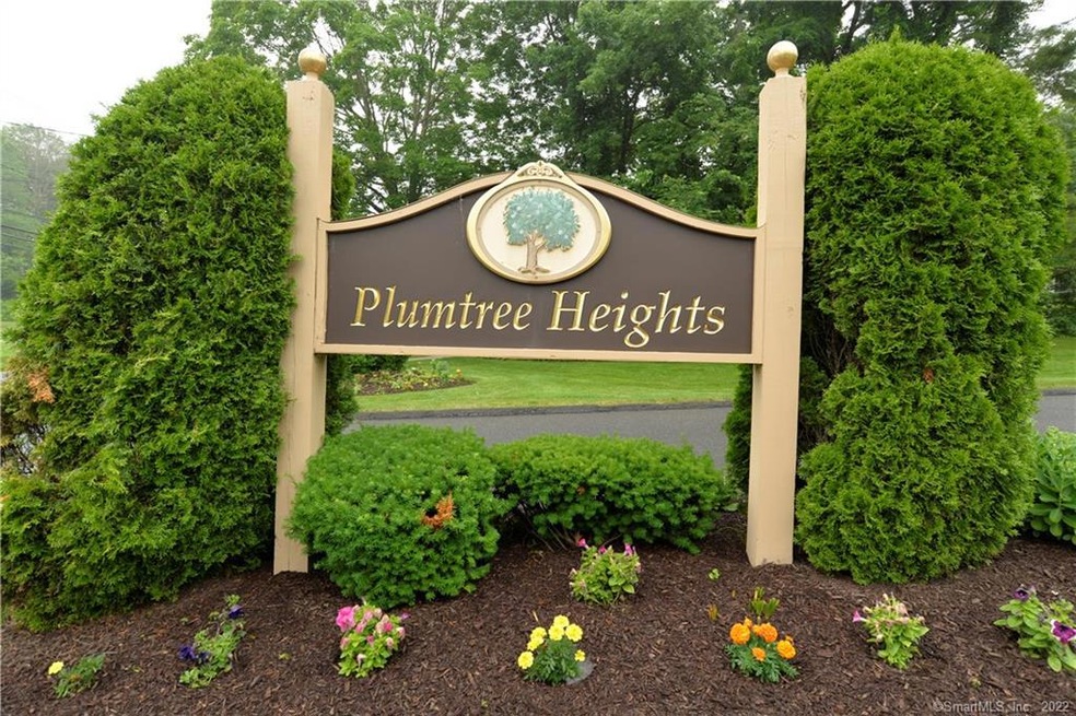 74 Deer Run, Bethel, CT 06801 - photo 1