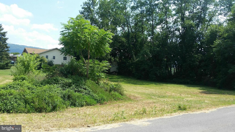 0 Hohman Dr unit 1000146175, McConnellsburg, PA 17233 - photo 1