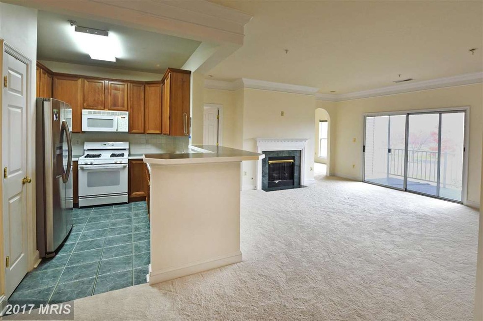 11306 Westbrook Mill Ln unit 102, Fairfax, VA 22030 - photo 1
