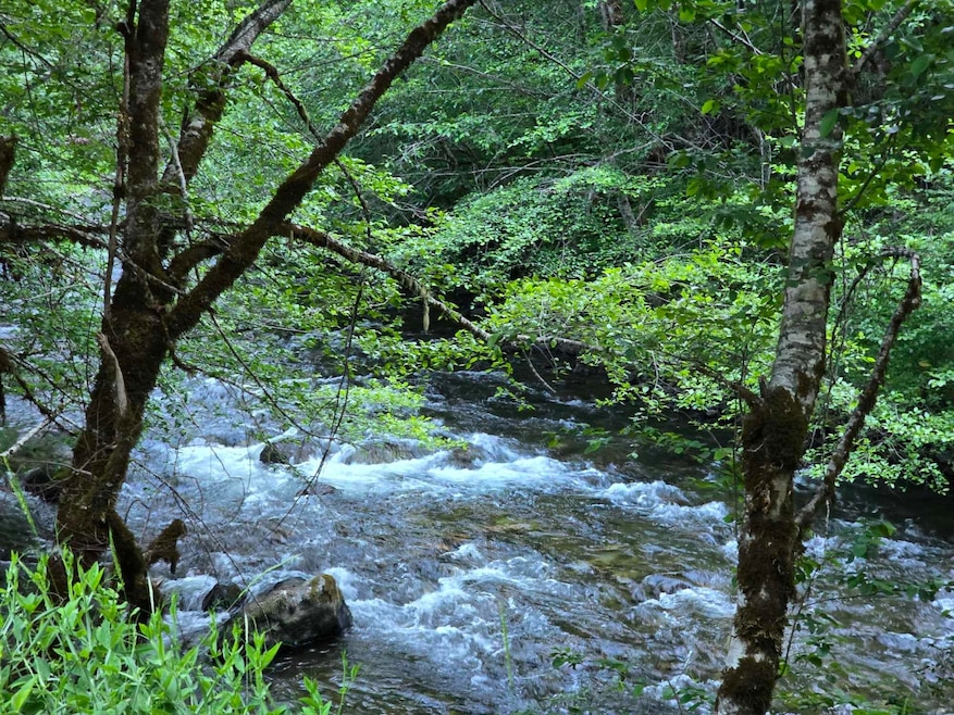 10777 Caves Hwy, Cave Junction, OR 97523 - photo 1