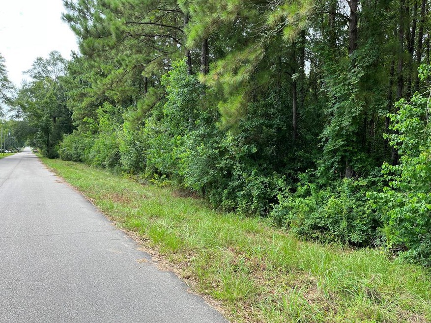 NHN W 4th Ave, Picayune, MS 39466 - photo 1