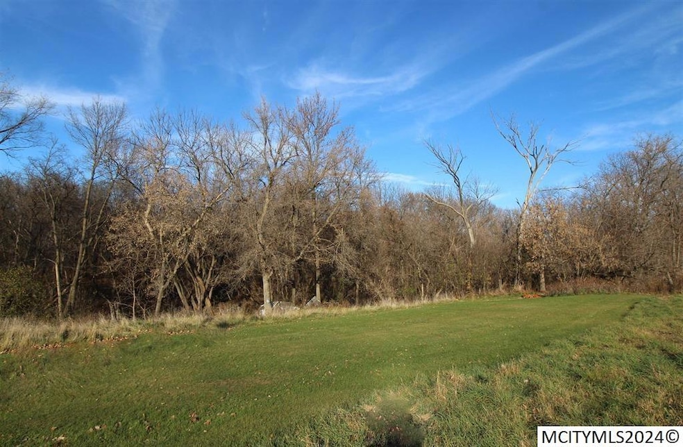 0 N Cedar unit 240237, Nora Springs, IA 50458 - photo 1