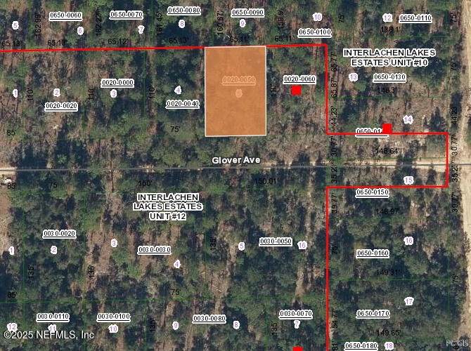 0 Glover Ave unit 2109103, Interlachen, FL 32148 - photo 1