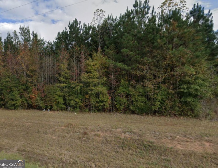 0 Ike Williams Rd unit 10243076, Gay, GA 30218 - photo 1