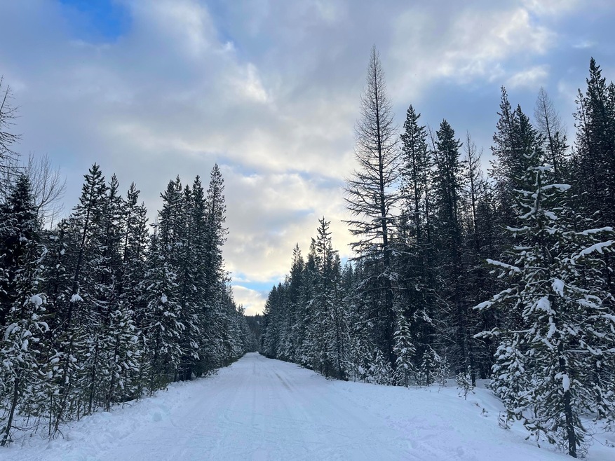 0 Olive Creek Rd unit 220175401, Granite, OR 97877 - photo 1