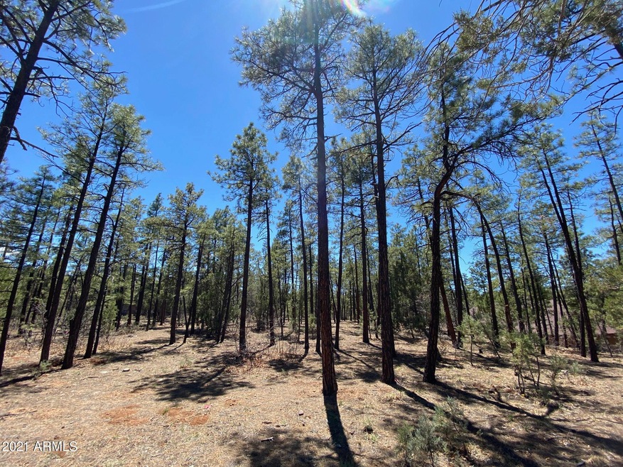 Heavily Treed Lot!!