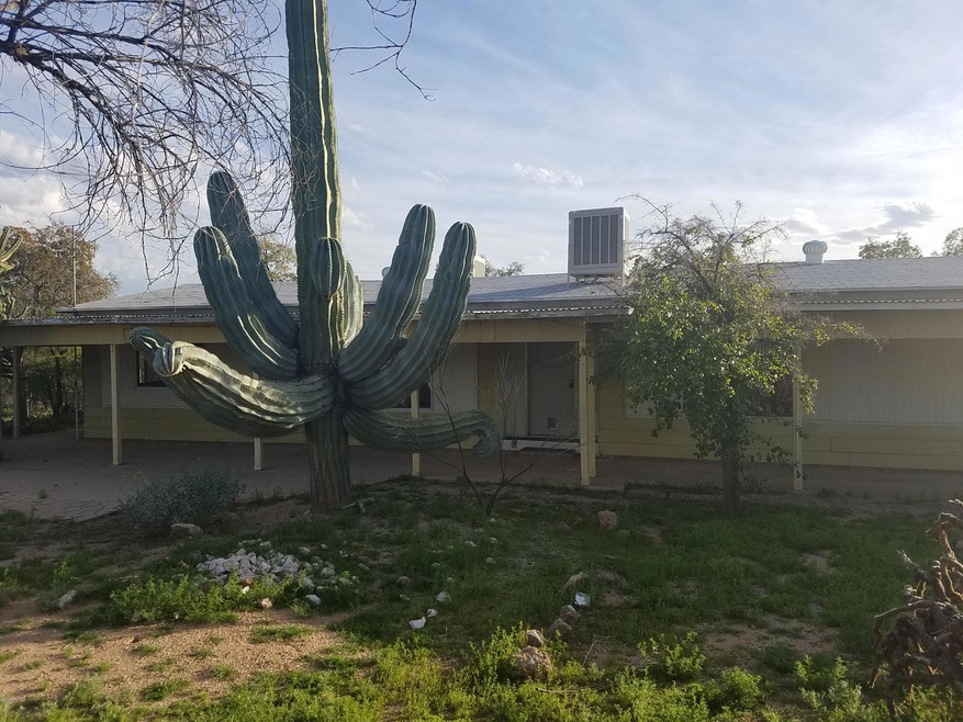 Side 1 cactus