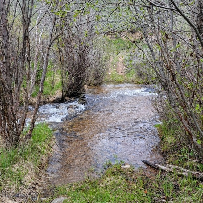 Dingley Creek