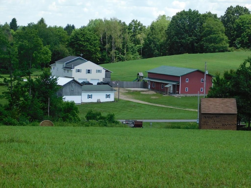 Main View