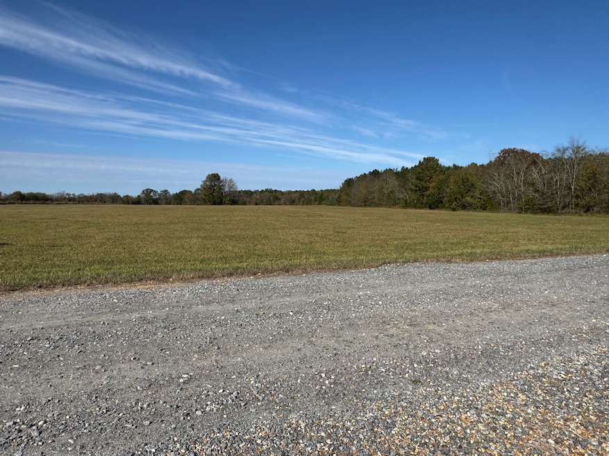 Dani Ln, Mathews, AL 36013 - photo 1